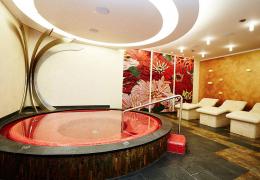 Mansion Petrovice